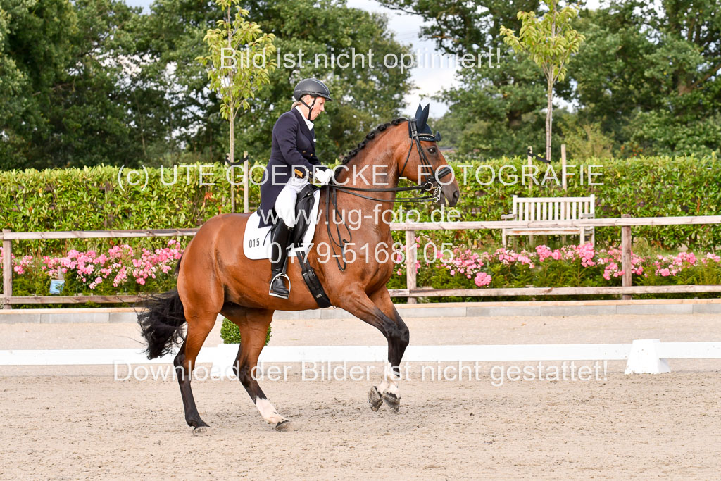 Klein Offenseth Dressur  1.8.2021 | 01082021 Dressur  KL S +_344 