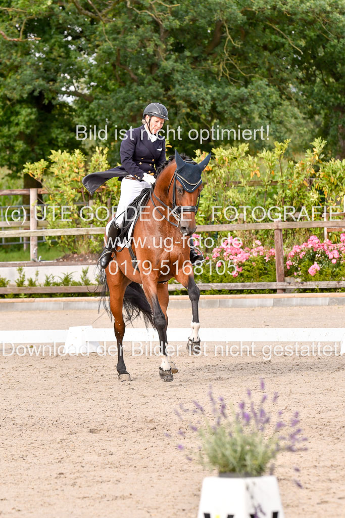 Klein Offenseth Dressur  1.8.2021 | 01082021 Dressur  KL S +_349 