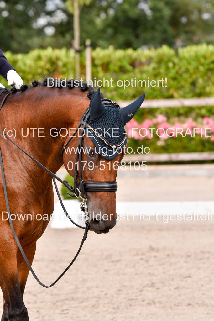 Klein Offenseth Dressur  1.8.2021 | 01082021 Dressur  KL S +_353 