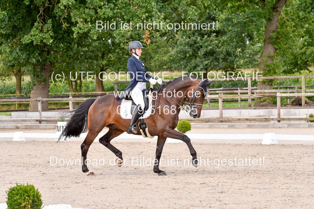 Klein Offenseth Dressur  1.8.2021 | 01082021 Dressur  KL S +_365 