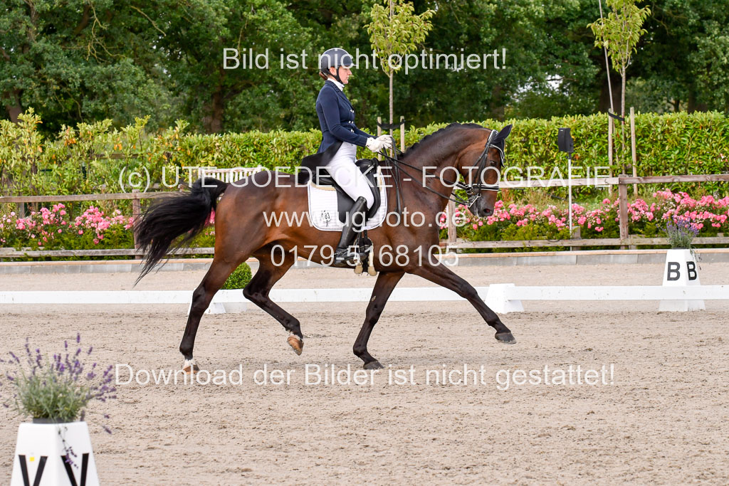 Klein Offenseth Dressur  1.8.2021 | 01082021 Dressur  KL S +_366 