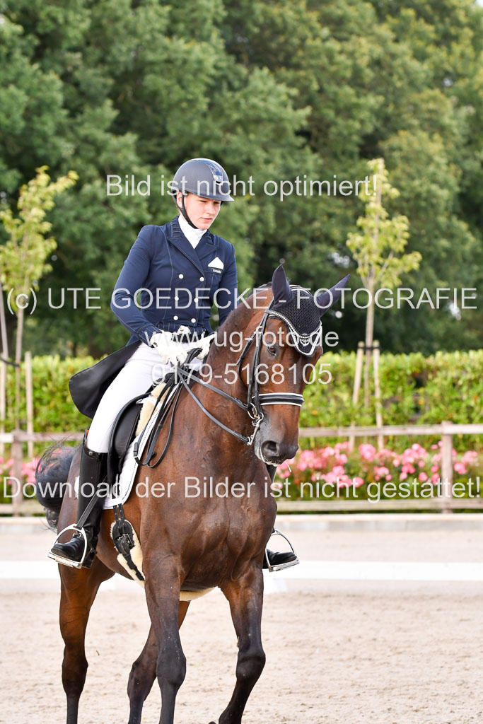 Klein Offenseth Dressur  1.8.2021 | 01082021 Dressur  KL S +_373 