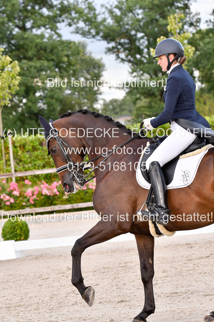 Klein Offenseth Dressur  1.8.2021 | 01082021 Dressur  KL S +_374 