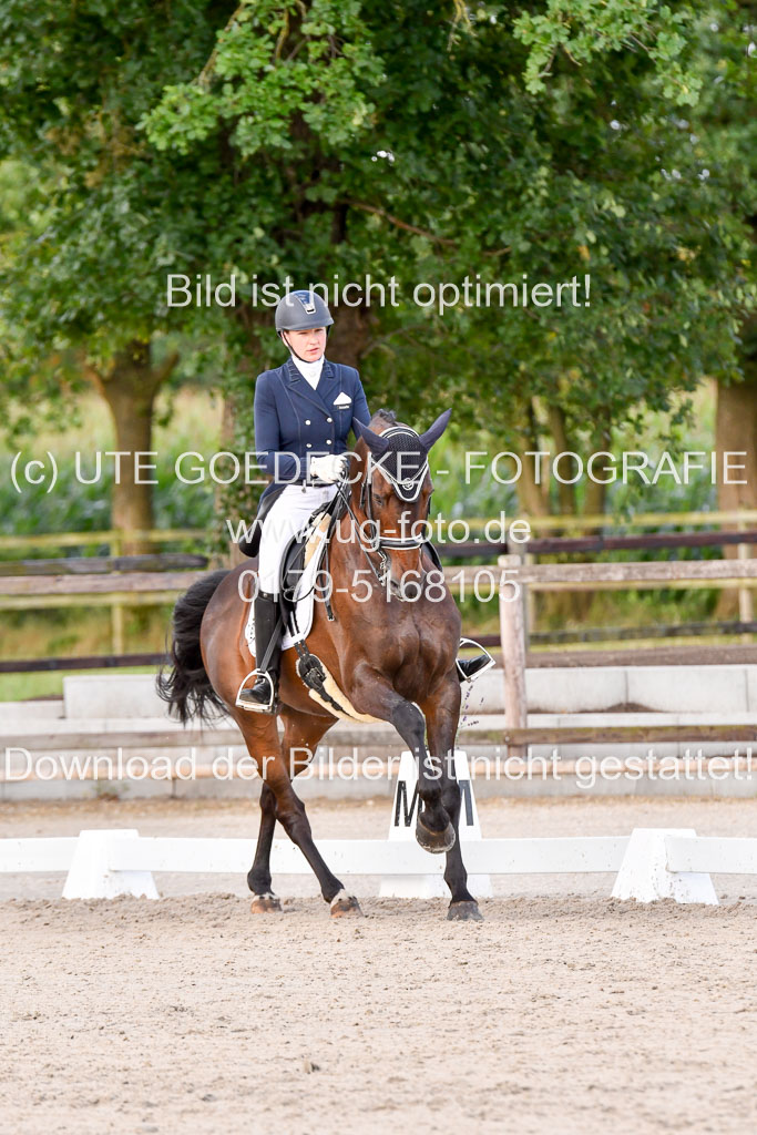 Klein Offenseth Dressur  1.8.2021 | 01082021 Dressur  KL S +_375 