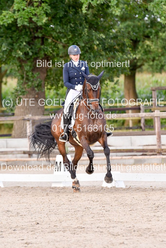 Klein Offenseth Dressur  1.8.2021 | 01082021 Dressur  KL S +_376 