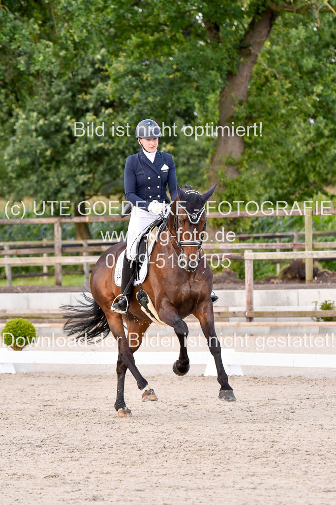 Klein Offenseth Dressur  1.8.2021 | 01082021 Dressur  KL S +_378 