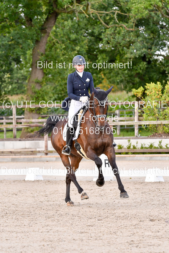 Klein Offenseth Dressur  1.8.2021 | 01082021 Dressur  KL S +_379 