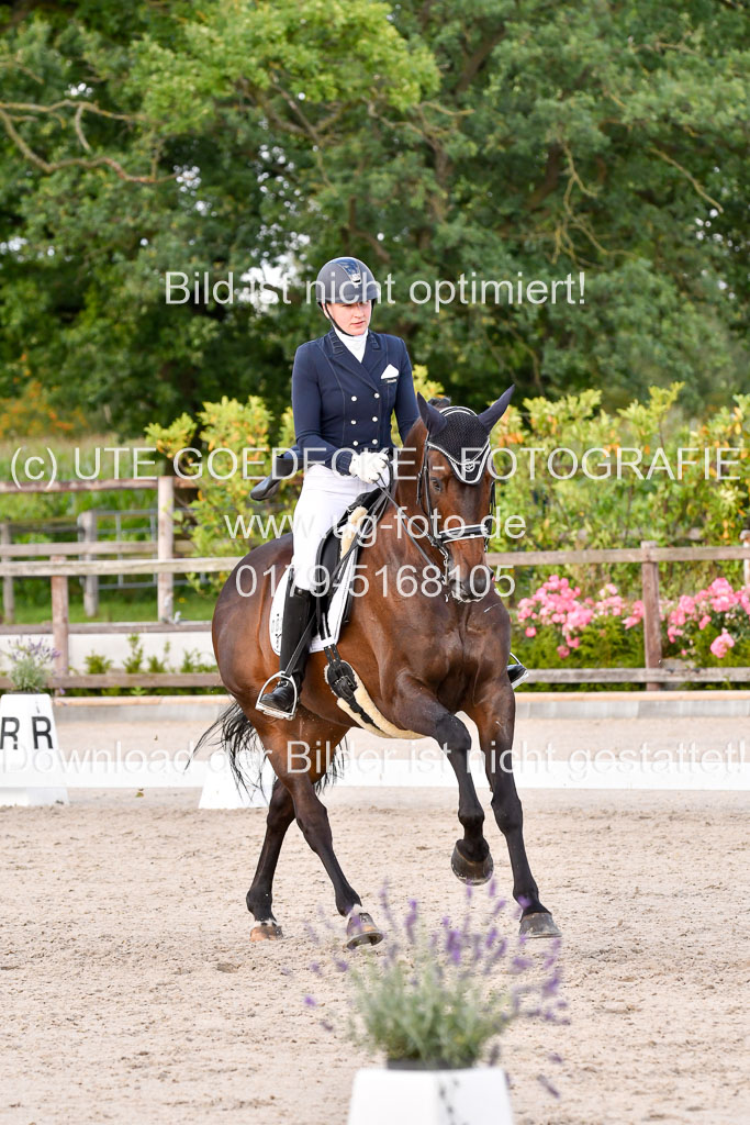 Klein Offenseth Dressur  1.8.2021 | 01082021 Dressur  KL S +_380 