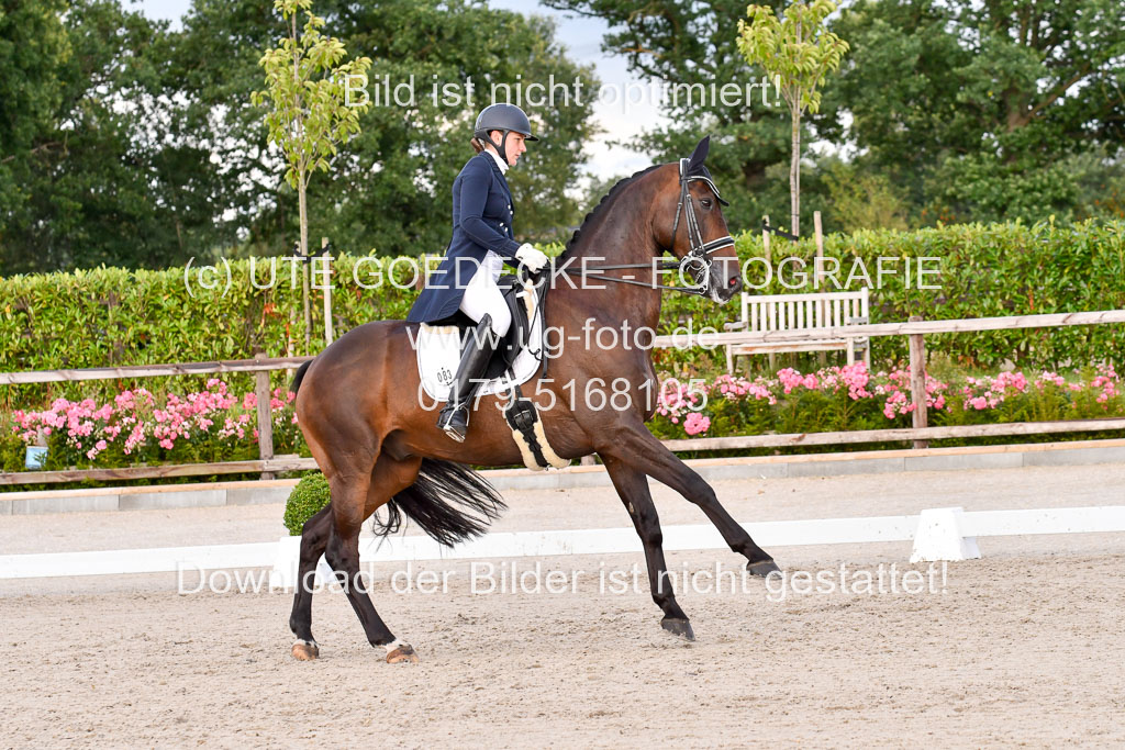 Klein Offenseth Dressur  1.8.2021 | 01082021 Dressur  KL S +_386 