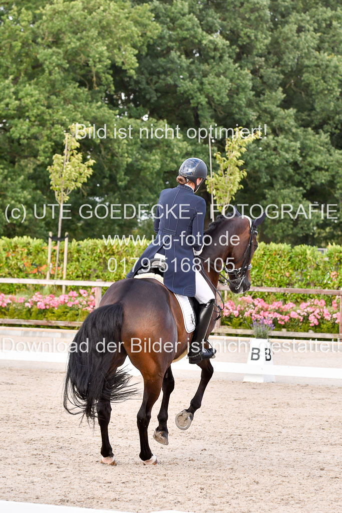 Klein Offenseth Dressur  1.8.2021 | 01082021 Dressur  KL S +_387 