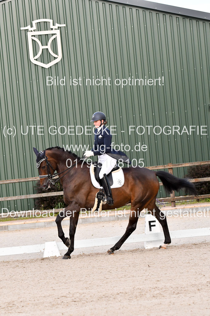 Klein Offenseth Dressur  1.8.2021 | 01082021 Dressur  KL S +_392 