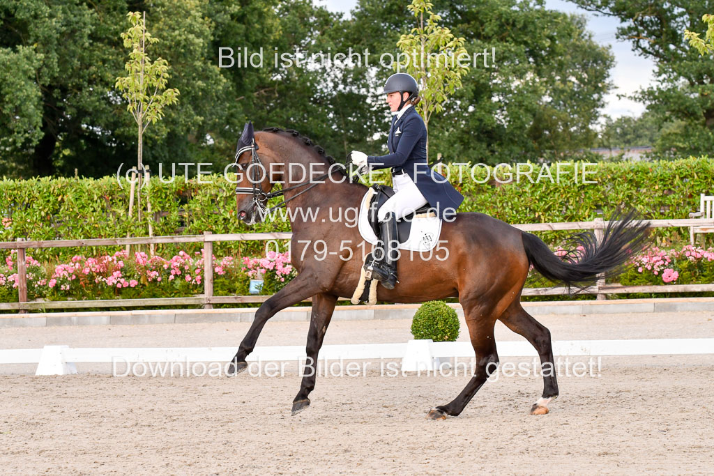 Klein Offenseth Dressur  1.8.2021 | 01082021 Dressur  KL S +_393 