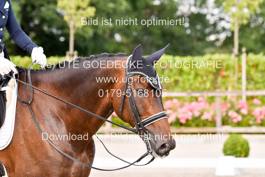 Klein Offenseth Dressur  1.8.2021 | 01082021 Dressur  KL S +_397 