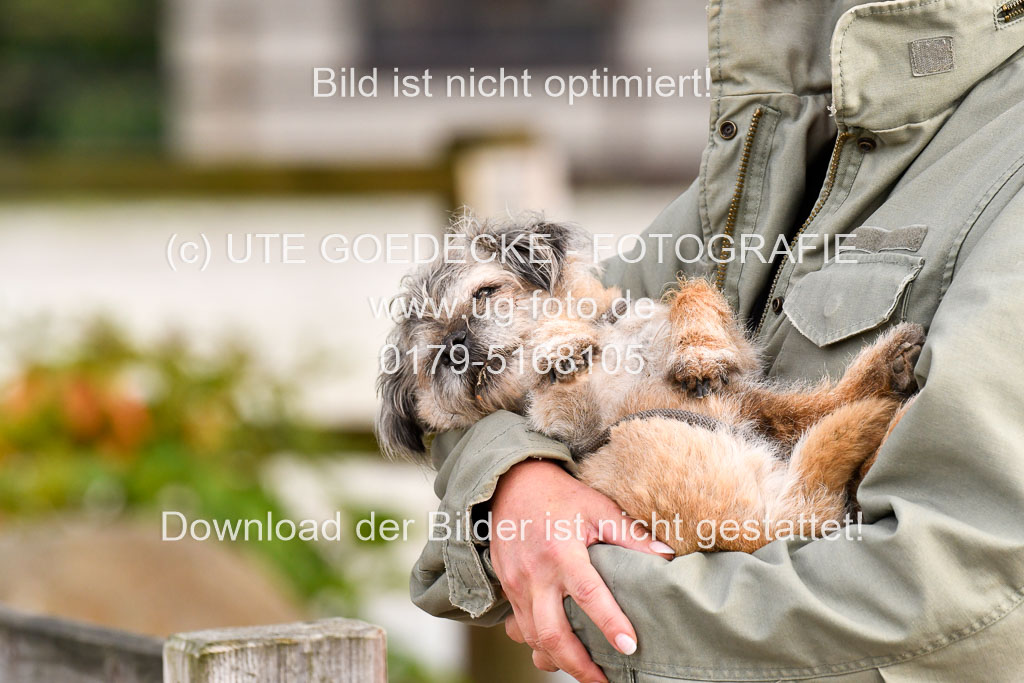 Klein Offenseth Dressur  1.8.2021 | 01082021 Dressur  KL S +_410 