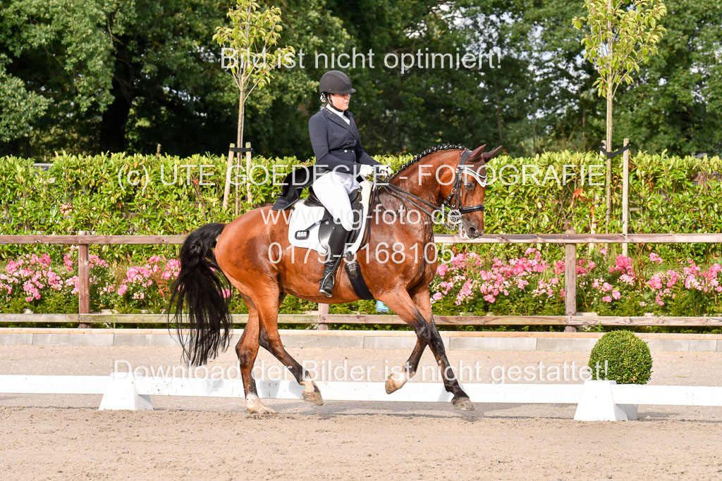 Klein Offenseth Dressur  1.8.2021 | 01082021 Dressur  KL S +_431 