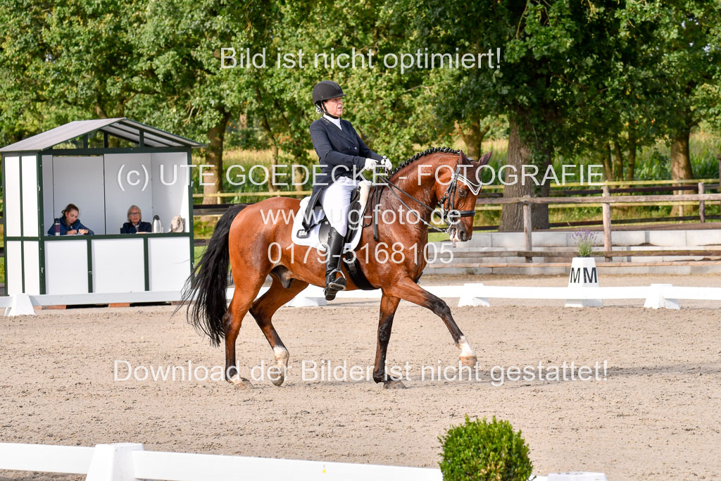 Klein Offenseth Dressur  1.8.2021 | 01082021 Dressur  KL S +_435 