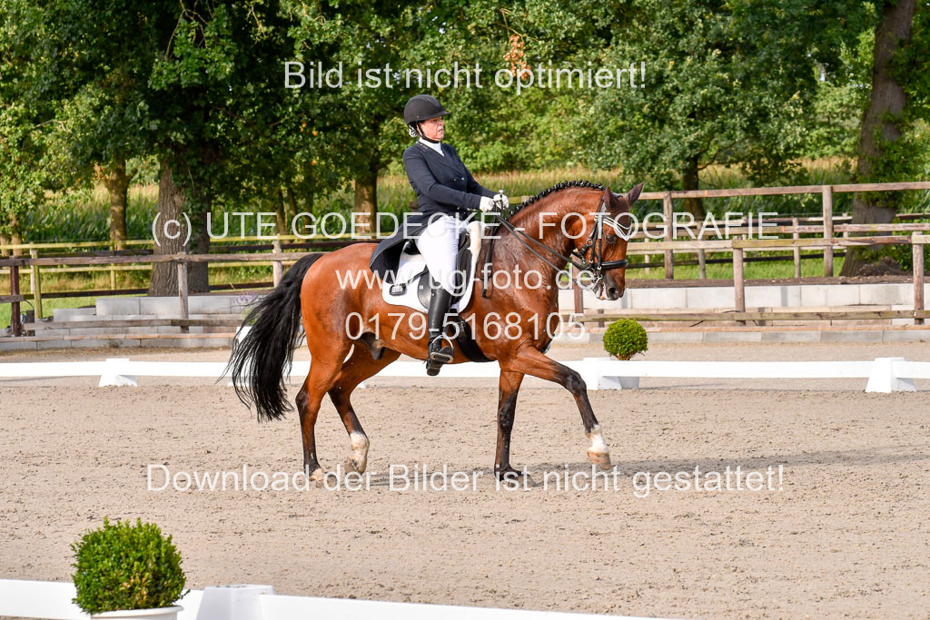Klein Offenseth Dressur  1.8.2021 | 01082021 Dressur  KL S +_436 