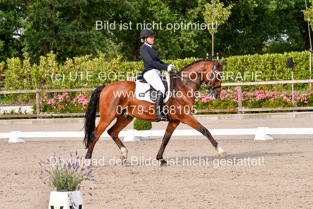 Klein Offenseth Dressur  1.8.2021 | 01082021 Dressur  KL S +_437 