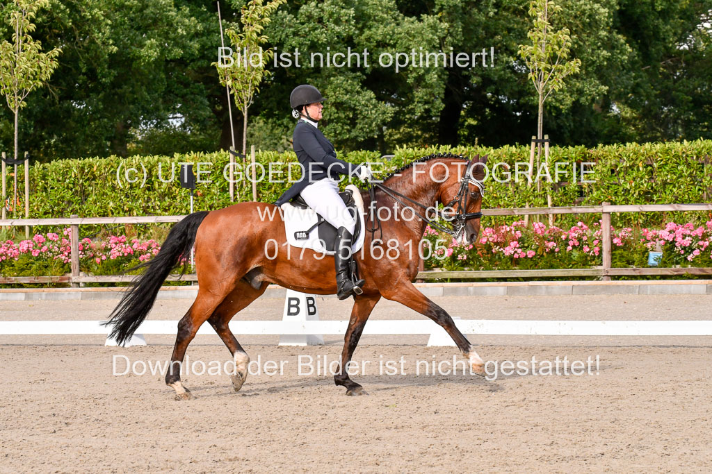 Klein Offenseth Dressur  1.8.2021 | 01082021 Dressur  KL S +_438 