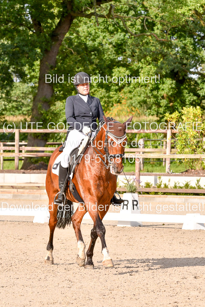 Klein Offenseth Dressur  1.8.2021 | 01082021 Dressur  KL S +_439 