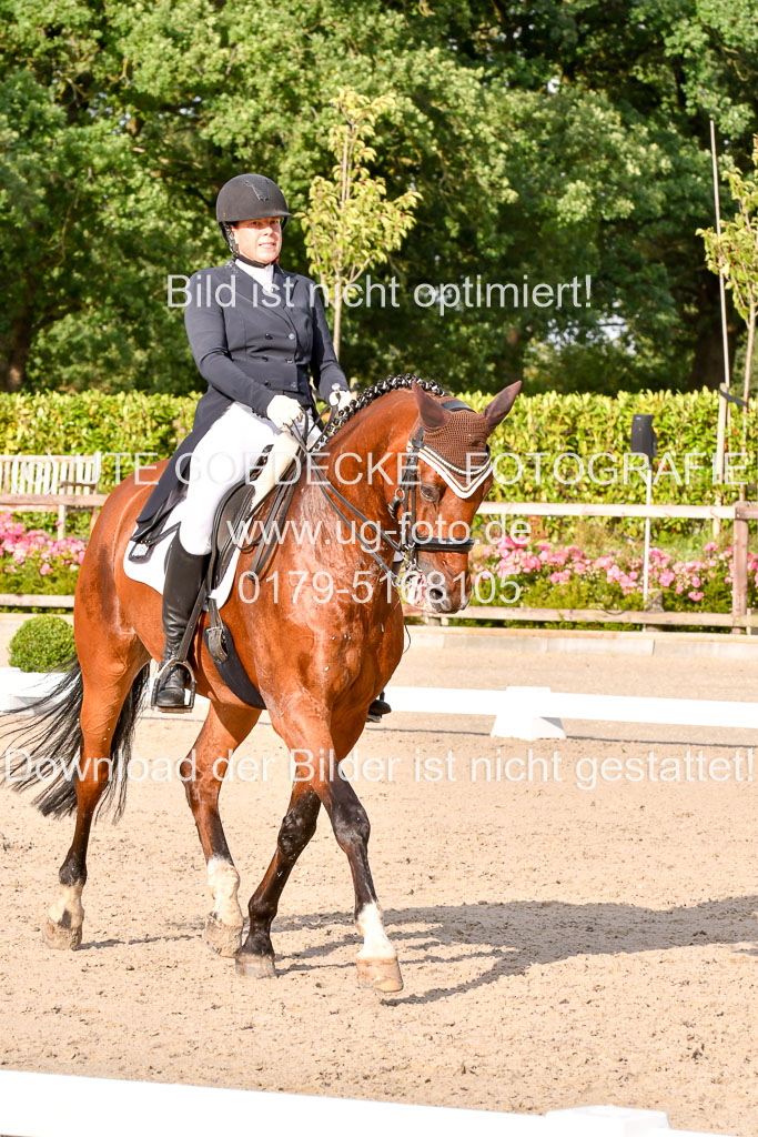 Klein Offenseth Dressur  1.8.2021 | 01082021 Dressur  KL S +_441 