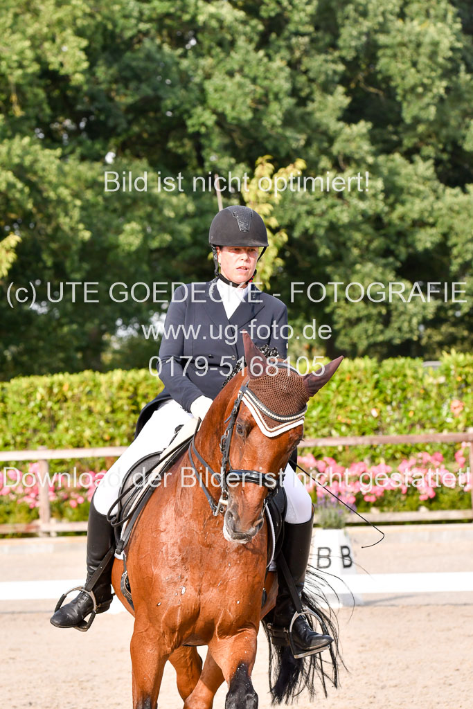 Klein Offenseth Dressur  1.8.2021 | 01082021 Dressur  KL S +_445 