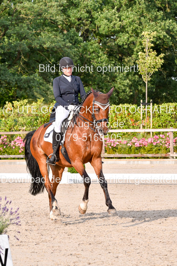 Klein Offenseth Dressur  1.8.2021 | 01082021 Dressur  KL S +_450 