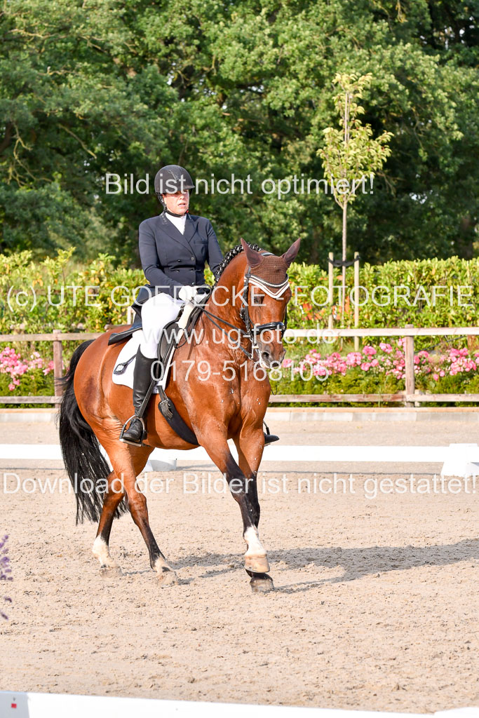 Klein Offenseth Dressur  1.8.2021 | 01082021 Dressur  KL S +_451 