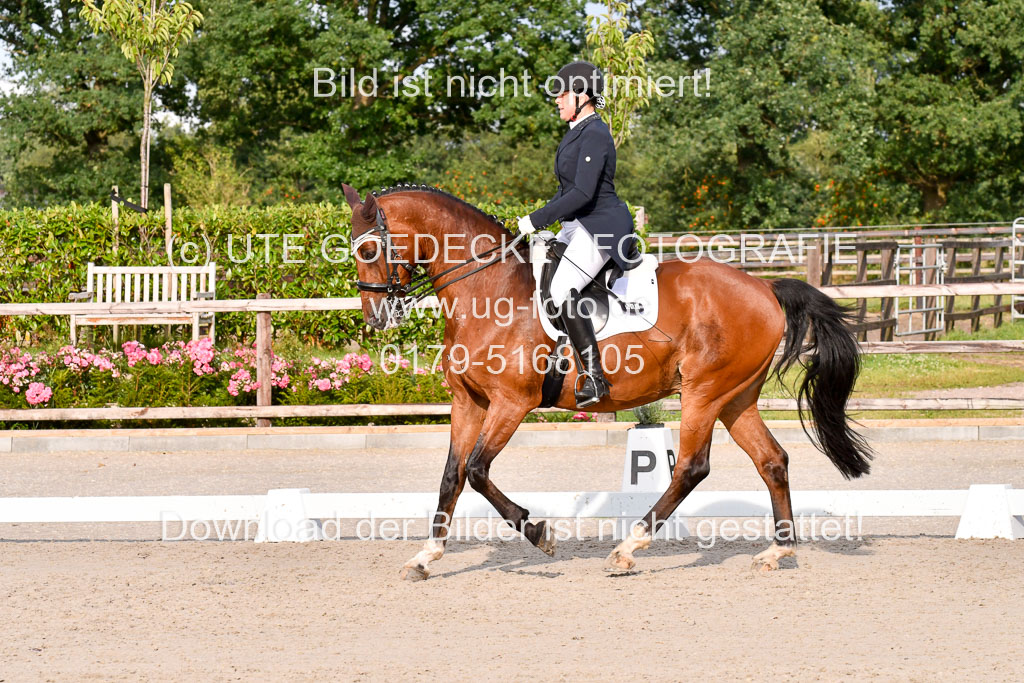 Klein Offenseth Dressur  1.8.2021 | 01082021 Dressur  KL S +_453 