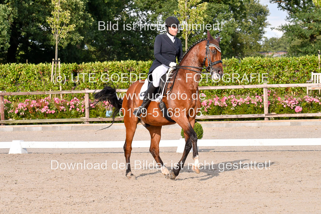 Klein Offenseth Dressur  1.8.2021 | 01082021 Dressur  KL S +_454 