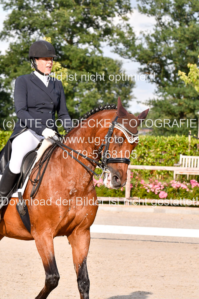 Klein Offenseth Dressur  1.8.2021 | 01082021 Dressur  KL S +_457 