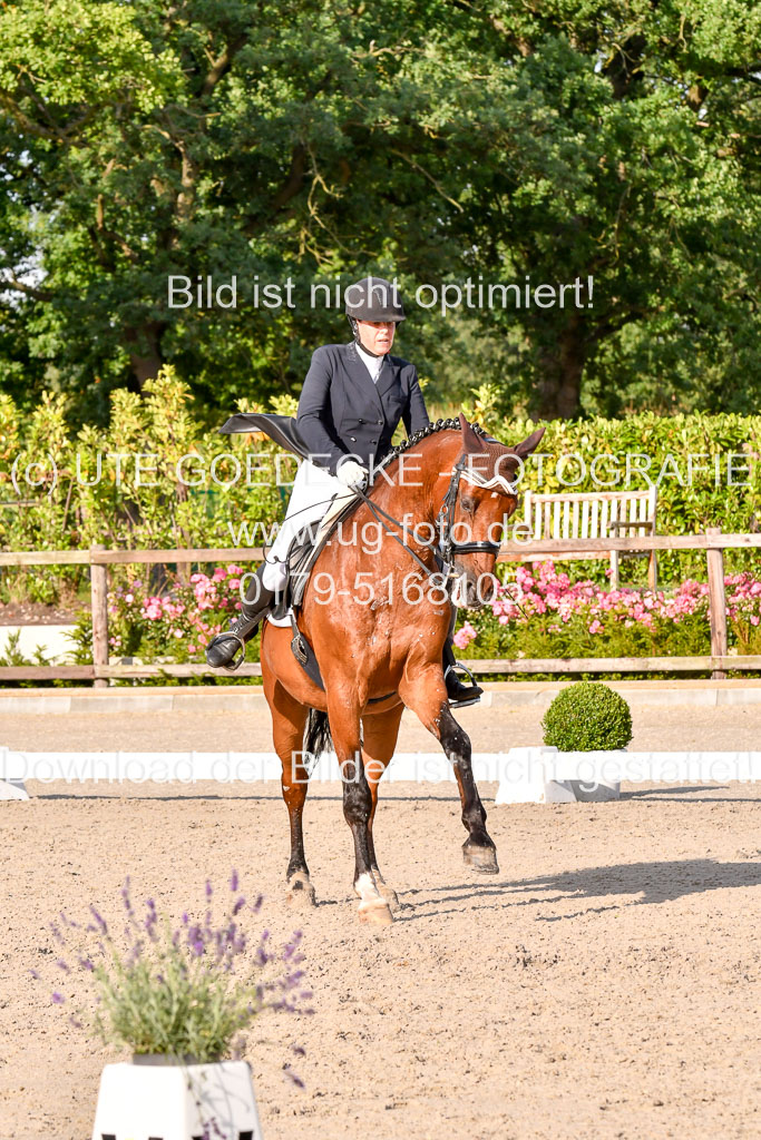 Klein Offenseth Dressur  1.8.2021 | 01082021 Dressur  KL S +_458 