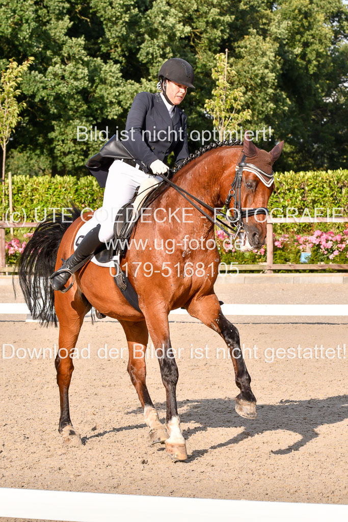 Klein Offenseth Dressur  1.8.2021 | 01082021 Dressur  KL S +_459 