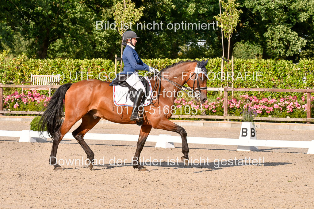 Klein Offenseth Dressur  1.8.2021 | 01082021 Dressur  KL S +_470 
