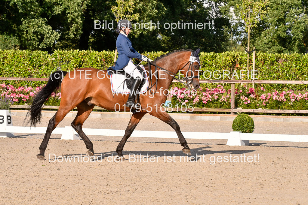 Klein Offenseth Dressur  1.8.2021 | 01082021 Dressur  KL S +_471 