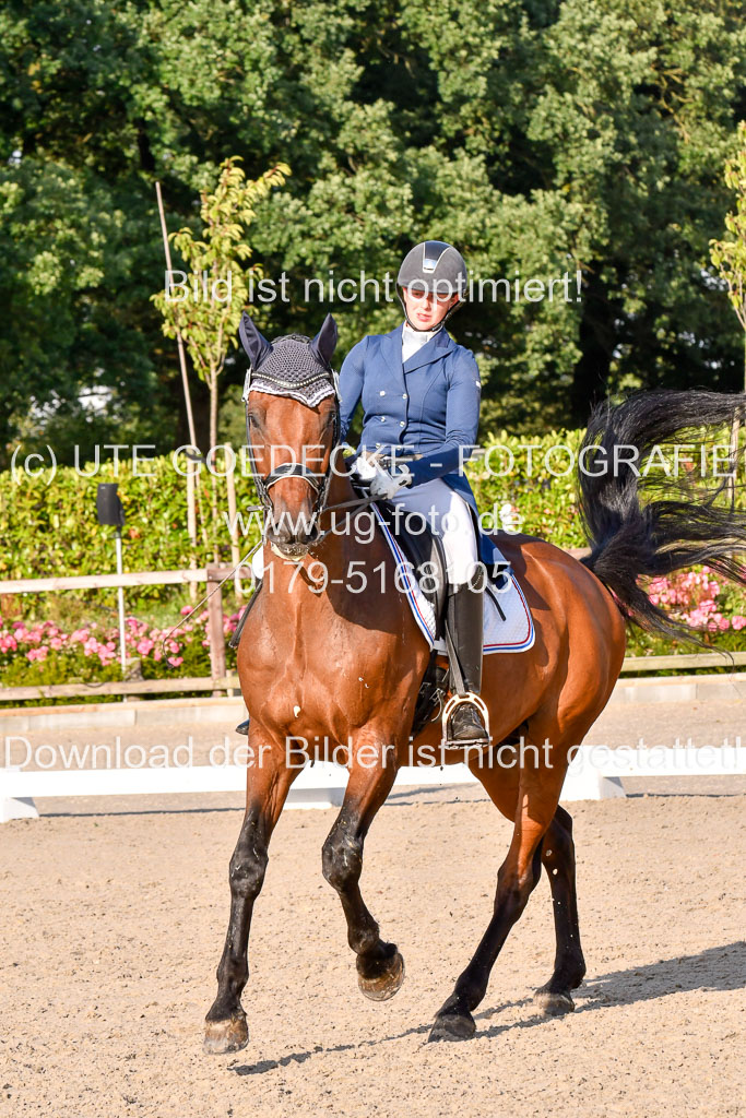 Klein Offenseth Dressur  1.8.2021 | 01082021 Dressur  KL S +_474 