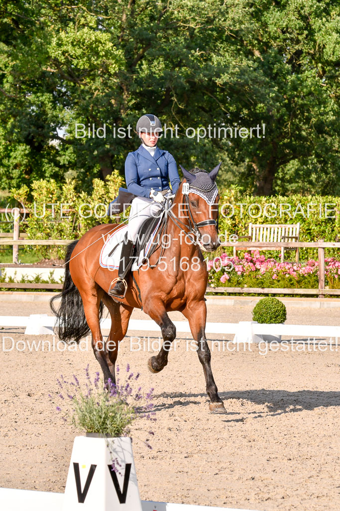 Klein Offenseth Dressur  1.8.2021 | 01082021 Dressur  KL S +_476 