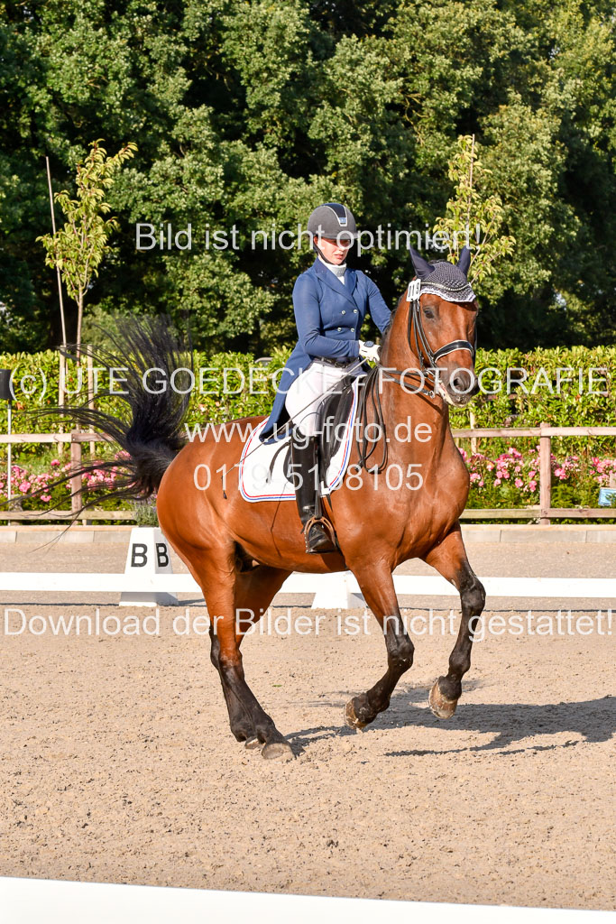 Klein Offenseth Dressur  1.8.2021 | 01082021 Dressur  KL S +_478 