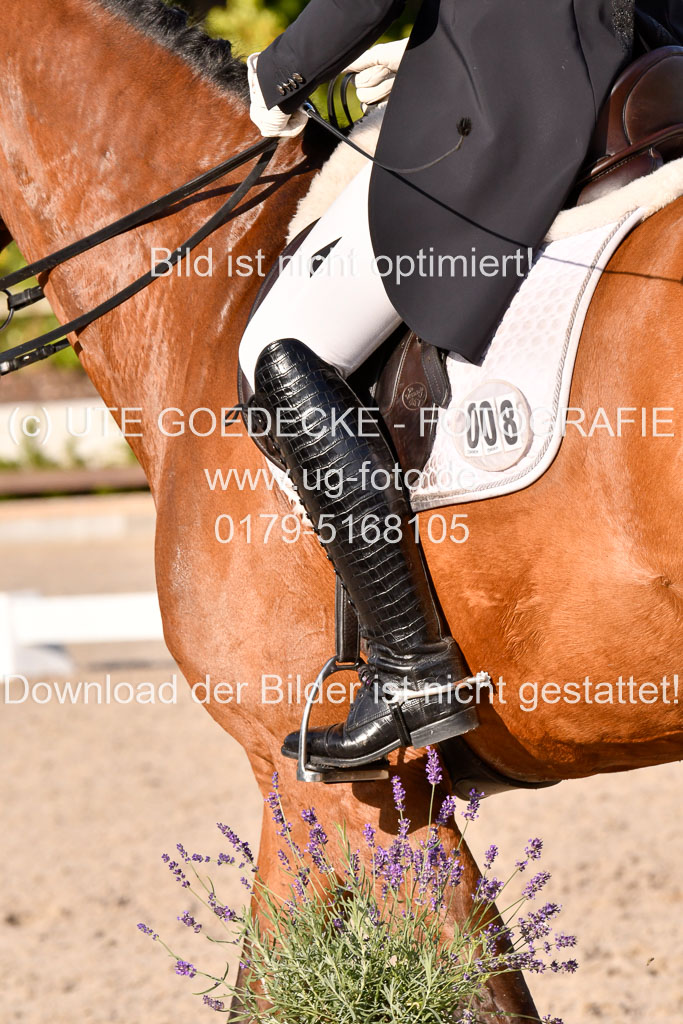 Klein Offenseth Dressur  1.8.2021 | 01082021 Dressur  KL S +_482 