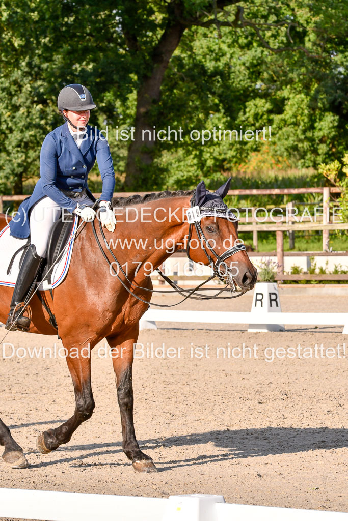 Klein Offenseth Dressur  1.8.2021 | 01082021 Dressur  KL S +_483 