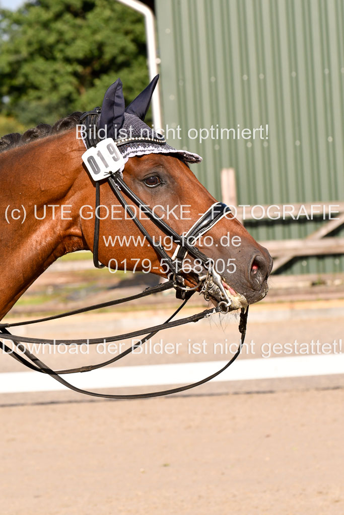 Klein Offenseth Dressur  1.8.2021 | 01082021 Dressur  KL S +_486 