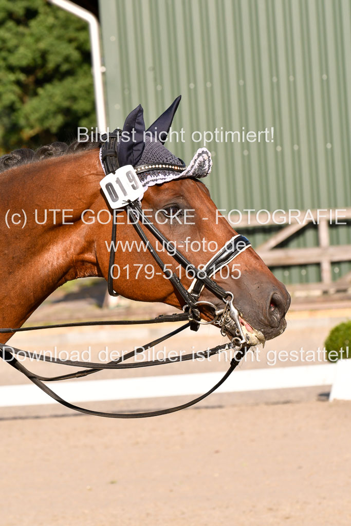 Klein Offenseth Dressur  1.8.2021 | 01082021 Dressur  KL S +_487 