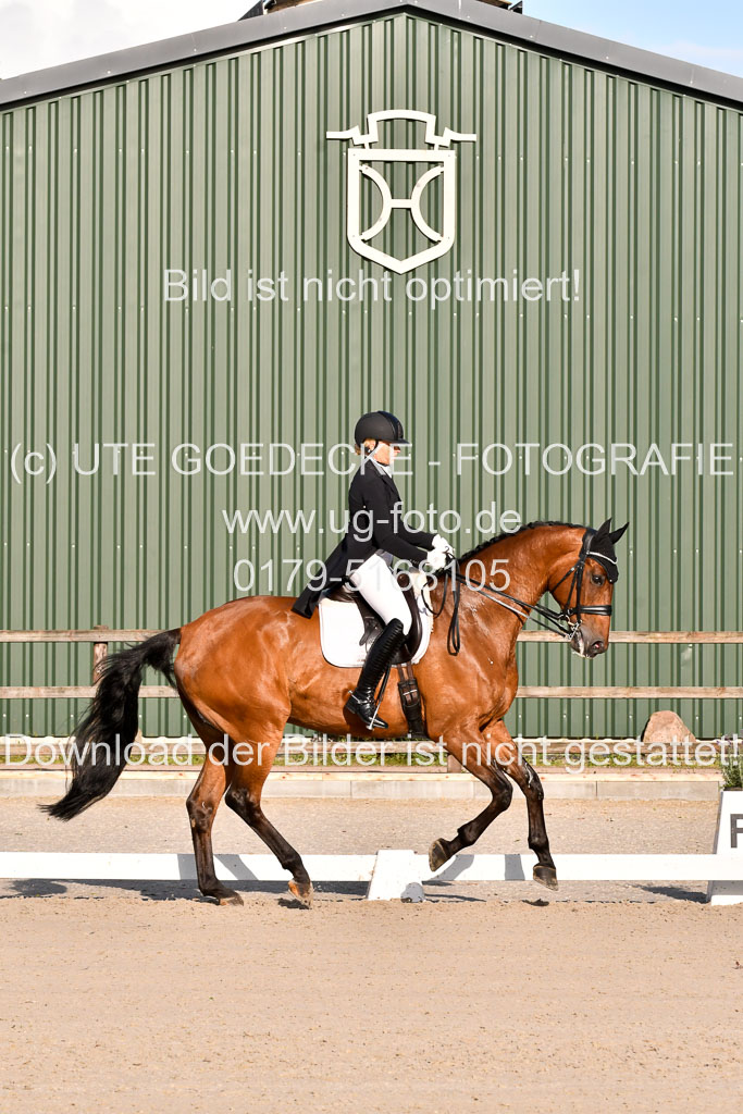 Klein Offenseth Dressur  1.8.2021 | 01082021 Dressur  KL S +_492 