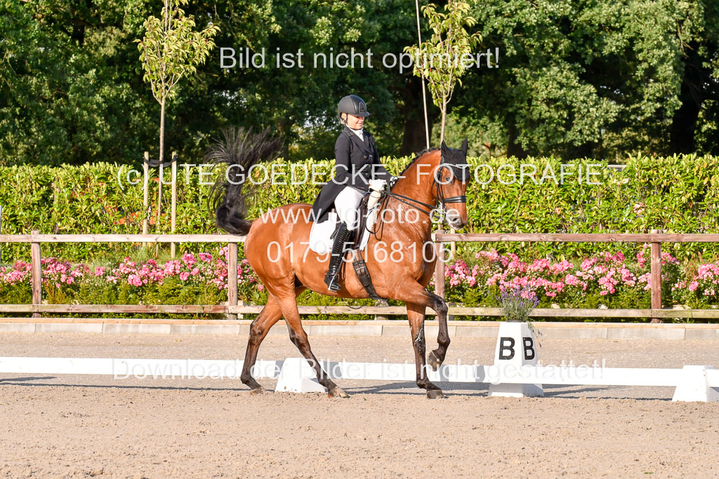 Klein Offenseth Dressur  1.8.2021 | 01082021 Dressur  KL S +_493 