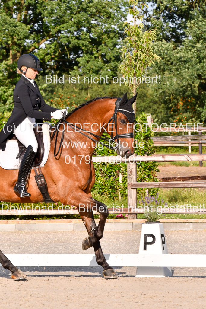 Klein Offenseth Dressur  1.8.2021 | 01082021 Dressur  KL S +_494 