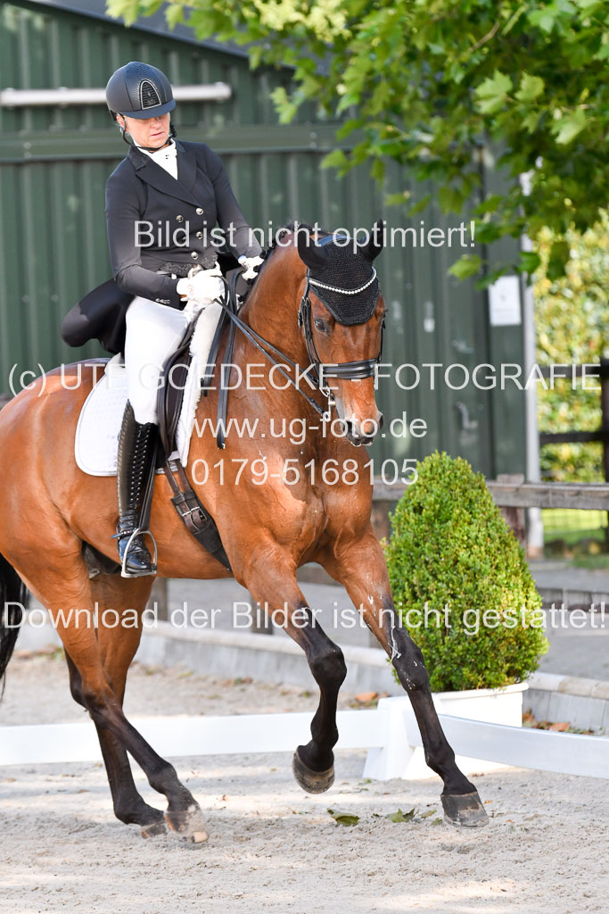 Klein Offenseth Dressur  1.8.2021 | 01082021 Dressur  KL S +_496 