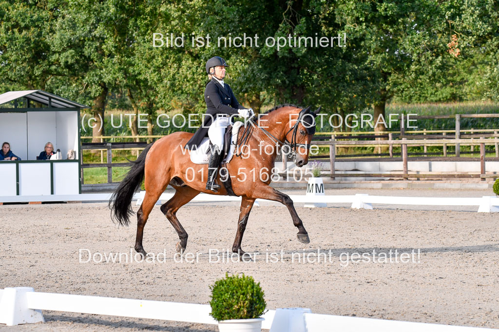 Klein Offenseth Dressur  1.8.2021 | 01082021 Dressur  KL S +_497 