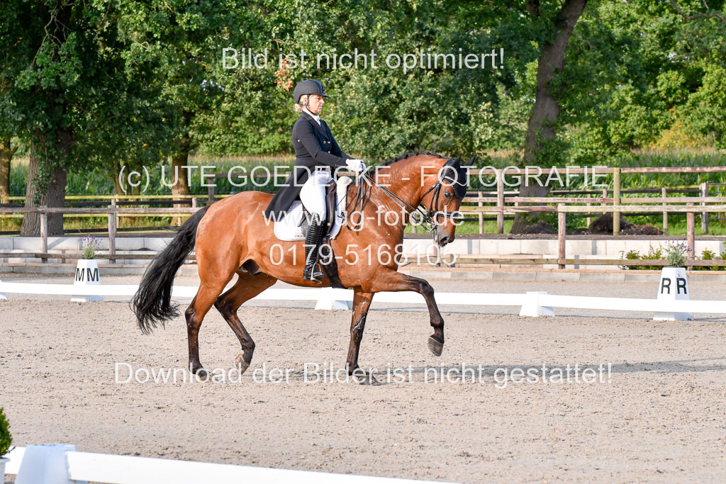 Klein Offenseth Dressur  1.8.2021 | 01082021 Dressur  KL S +_498 