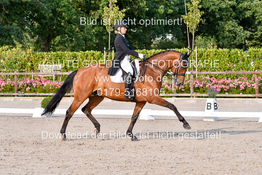 Klein Offenseth Dressur  1.8.2021 | 01082021 Dressur  KL S +_499 