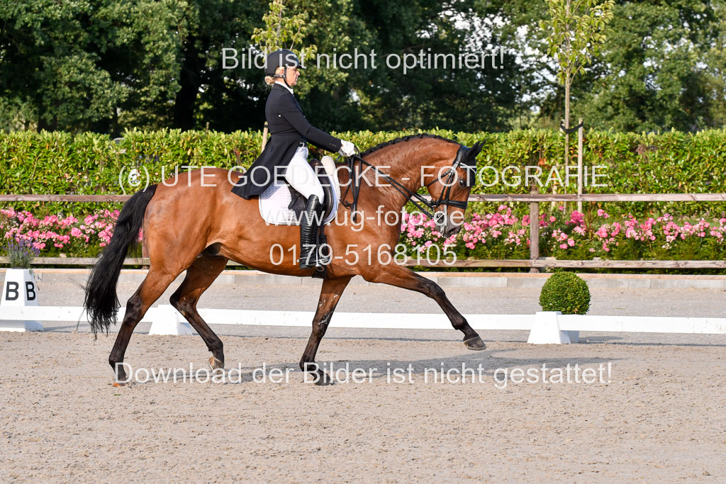 Klein Offenseth Dressur  1.8.2021 | 01082021 Dressur  KL S +_500 